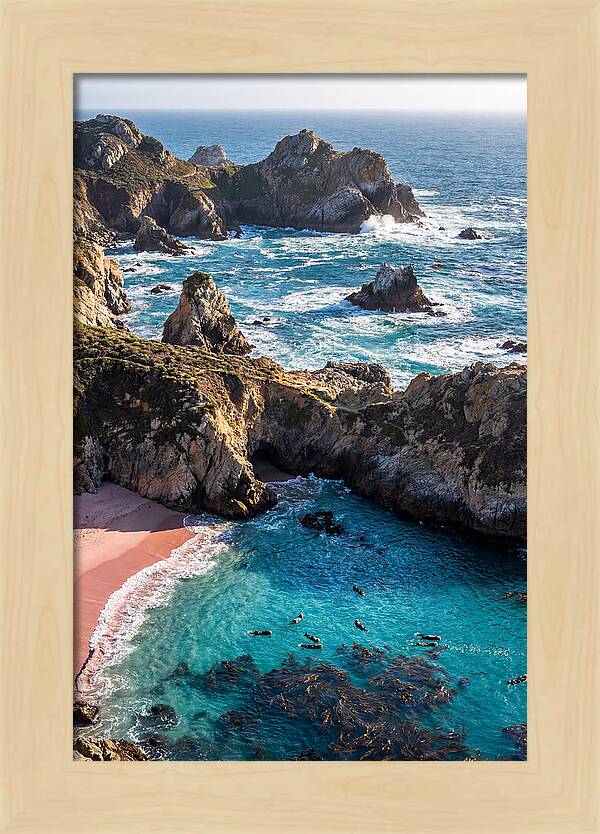 Point Lobos Coastal Serenity