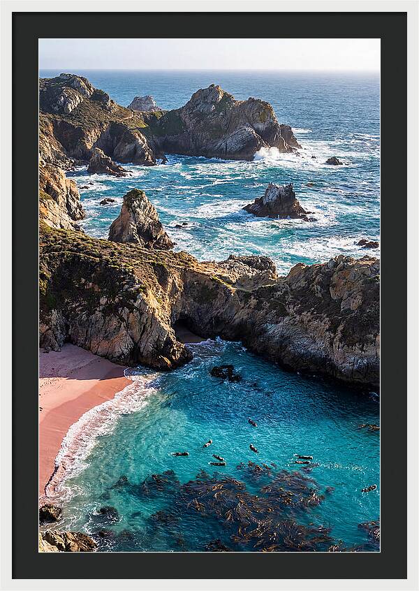 Point Lobos Coastal Serenity