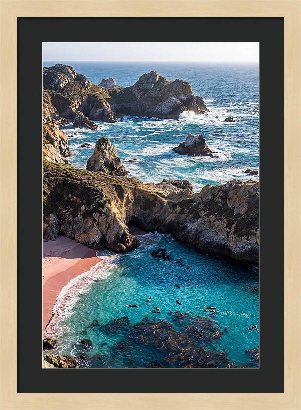 Point Lobos Coastal Serenity