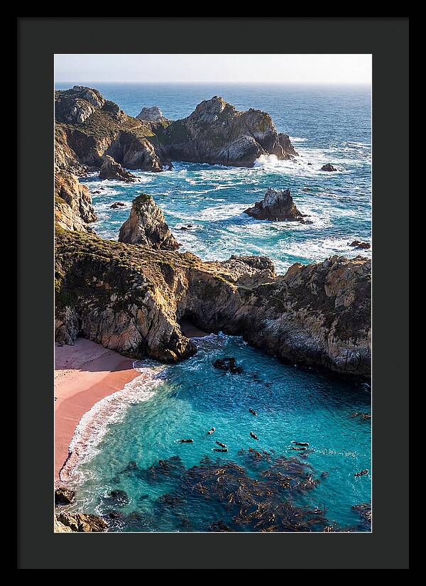 Point Lobos Coastal Serenity