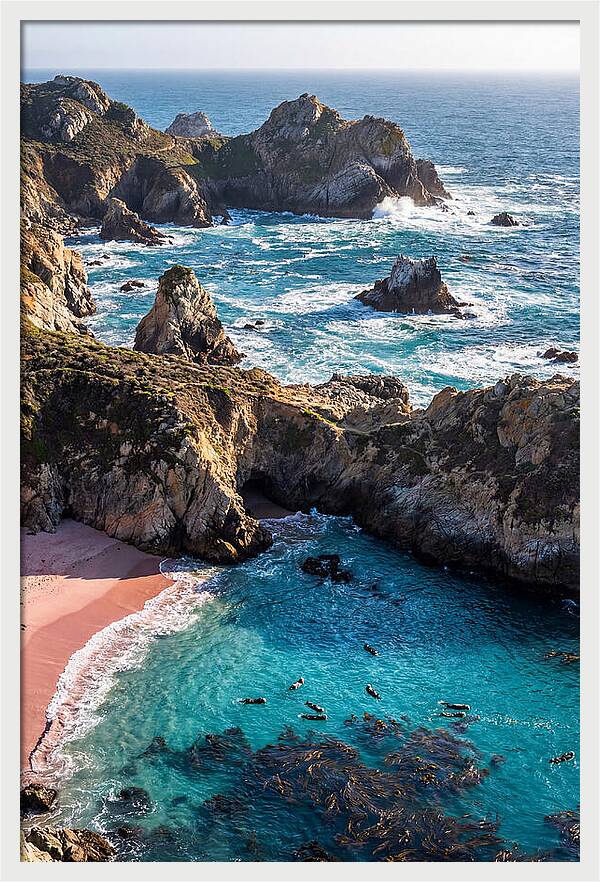 Point Lobos Coastal Serenity