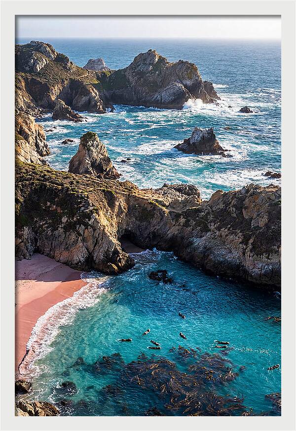 Point Lobos Coastal Serenity