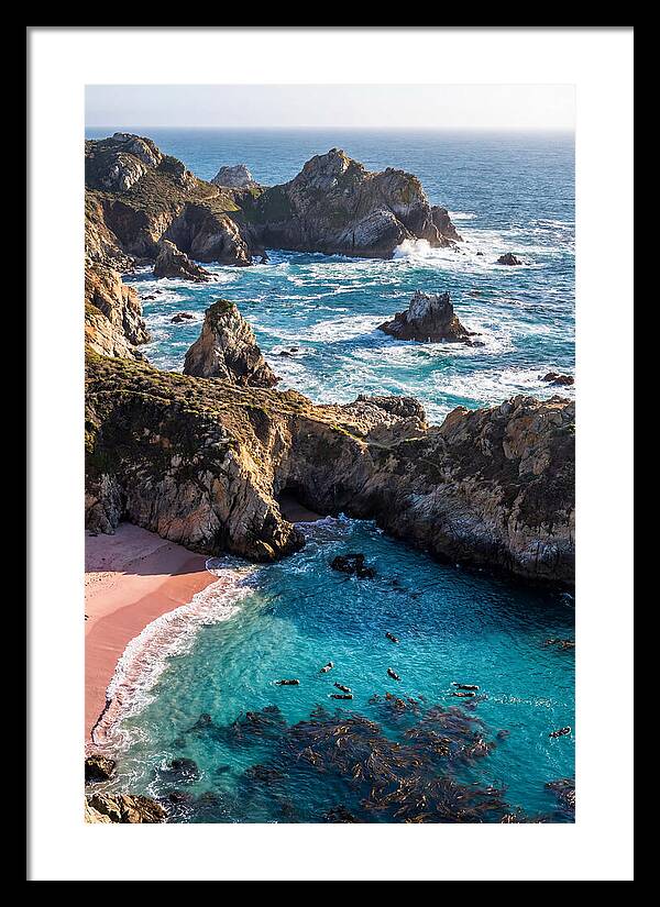Point Lobos Coastal Serenity