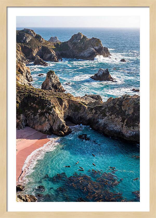 Point Lobos Coastal Serenity