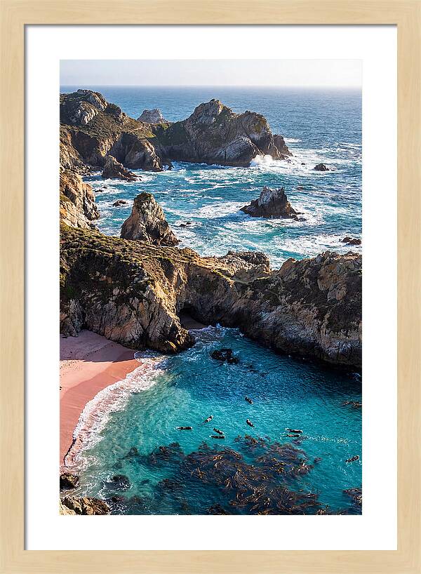 Point Lobos Coastal Serenity