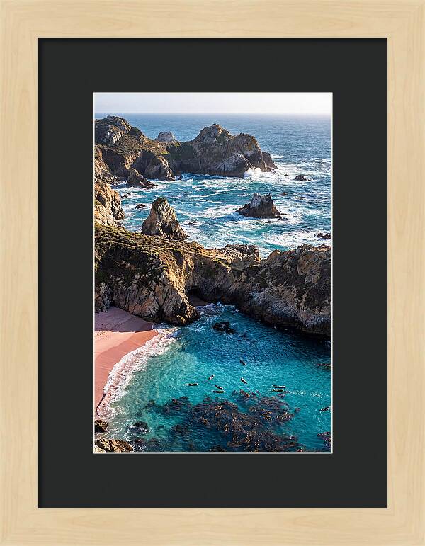 Point Lobos Coastal Serenity