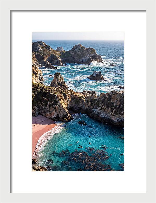 Point Lobos Coastal Serenity