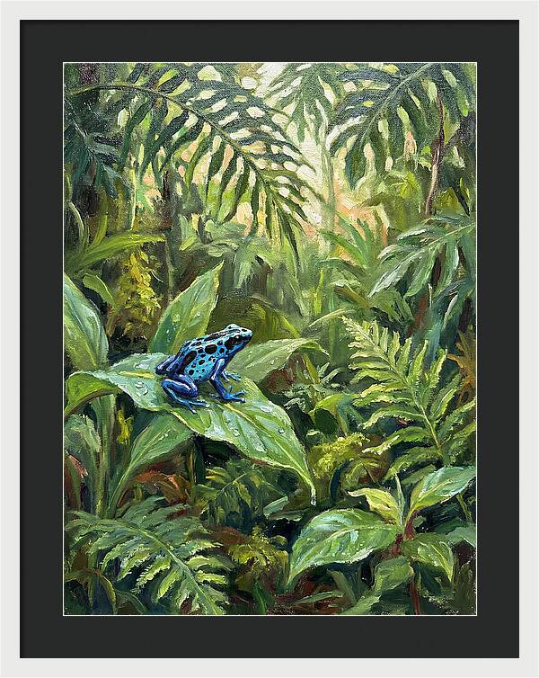 Poison Dart Frog In Lush Greenery