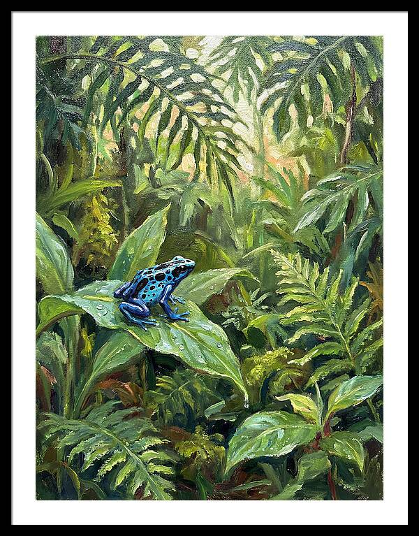 Poison Dart Frog In Lush Greenery