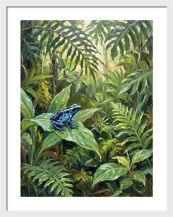 Poison Dart Frog In Lush Greenery