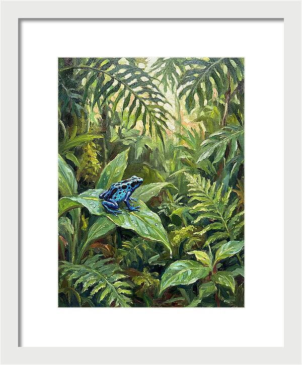Poison Dart Frog In Lush Greenery