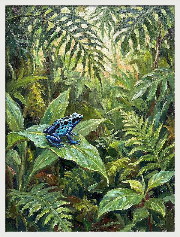 Poison Dart Frog In Lush Greenery