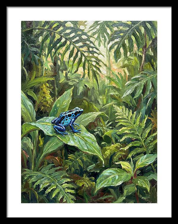Poison Dart Frog In Lush Greenery