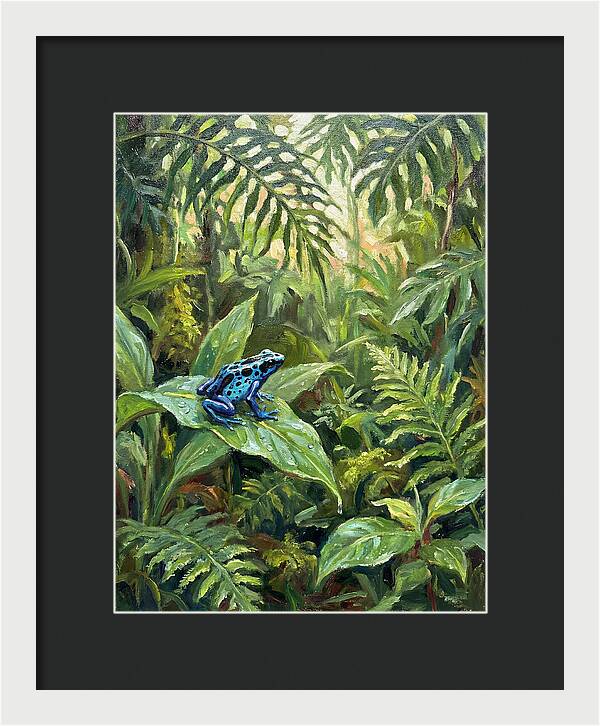 Poison Dart Frog In Lush Greenery