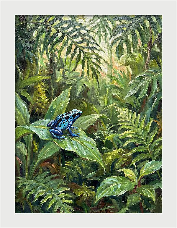 Poison Dart Frog In Lush Greenery