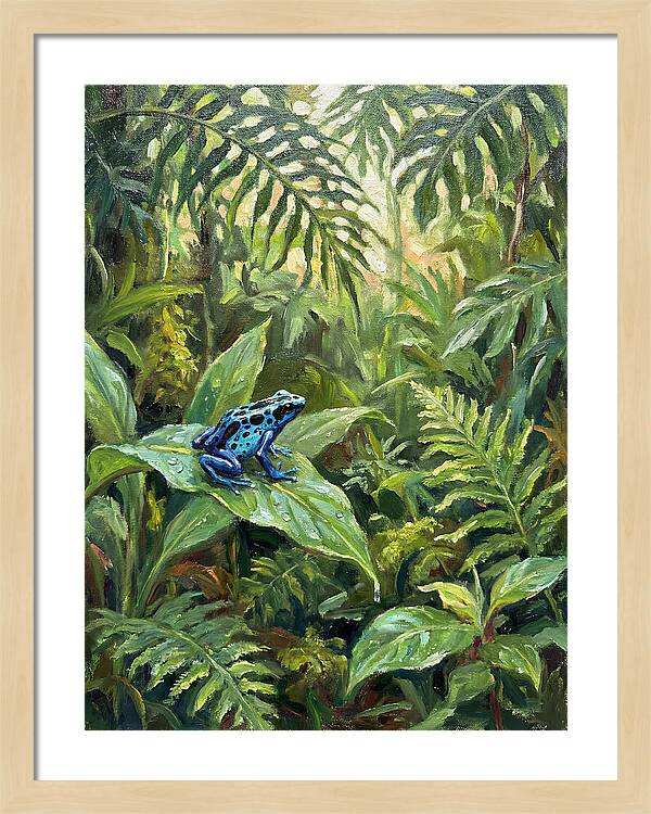 Poison Dart Frog In Lush Greenery