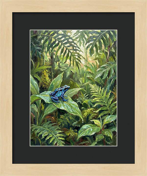 Poison Dart Frog In Lush Greenery