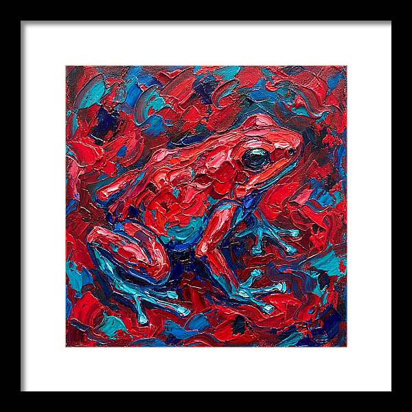 Poison Dart Frog In Vibrant Colors