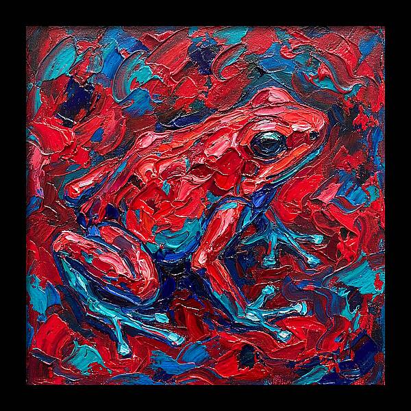 Poison Dart Frog In Vibrant Colors