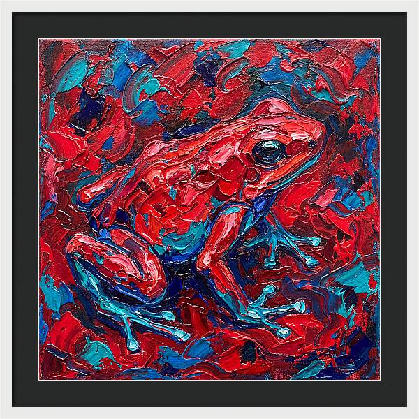 Poison Dart Frog In Vibrant Colors