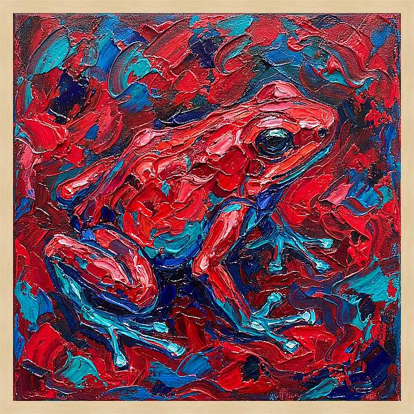 Poison Dart Frog In Vibrant Colors