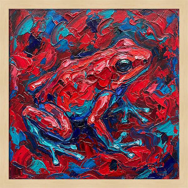 Poison Dart Frog In Vibrant Colors