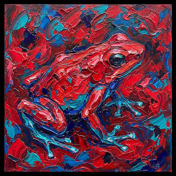 Poison Dart Frog In Vibrant Colors