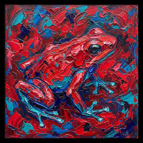 Poison Dart Frog In Vibrant Colors