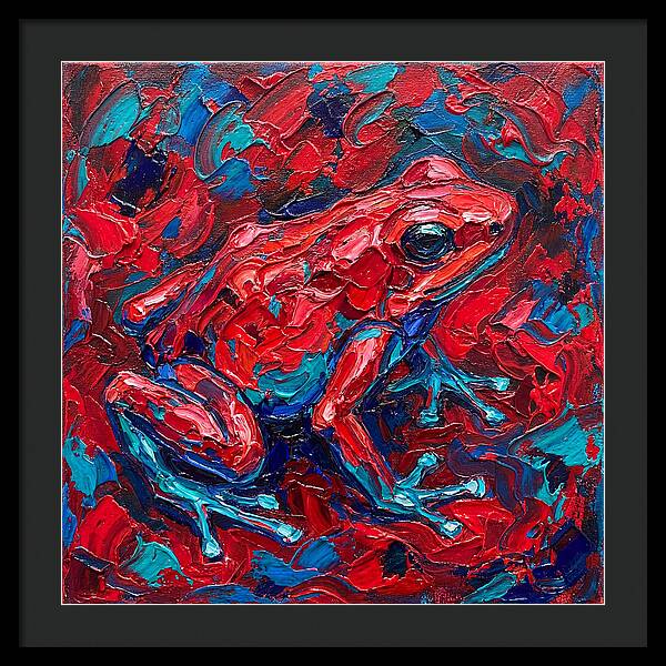 Poison Dart Frog In Vibrant Colors