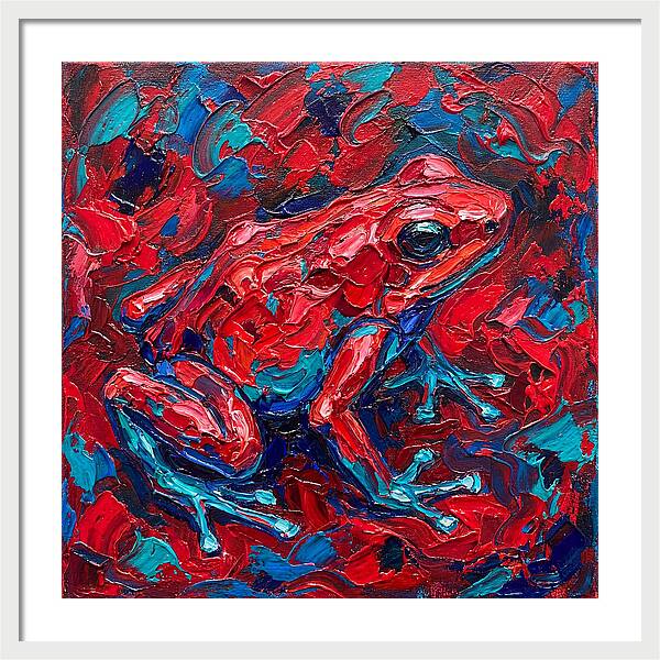 Poison Dart Frog In Vibrant Colors