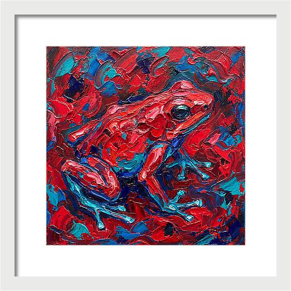 Poison Dart Frog In Vibrant Colors