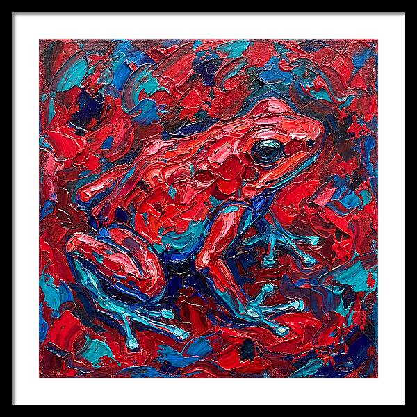 Poison Dart Frog In Vibrant Colors