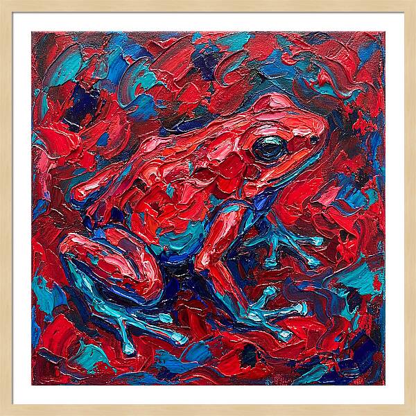 Poison Dart Frog In Vibrant Colors
