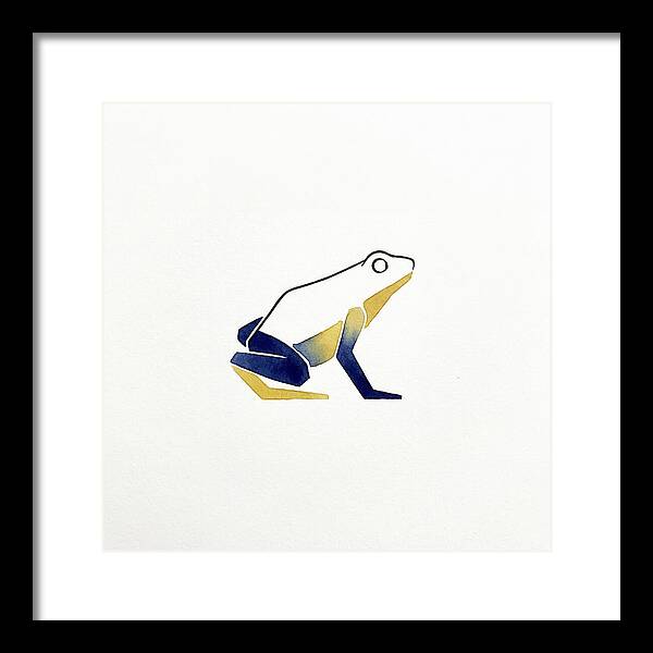 Poison Dart Frog Minimalism