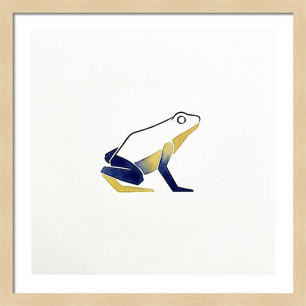 Poison Dart Frog Minimalism