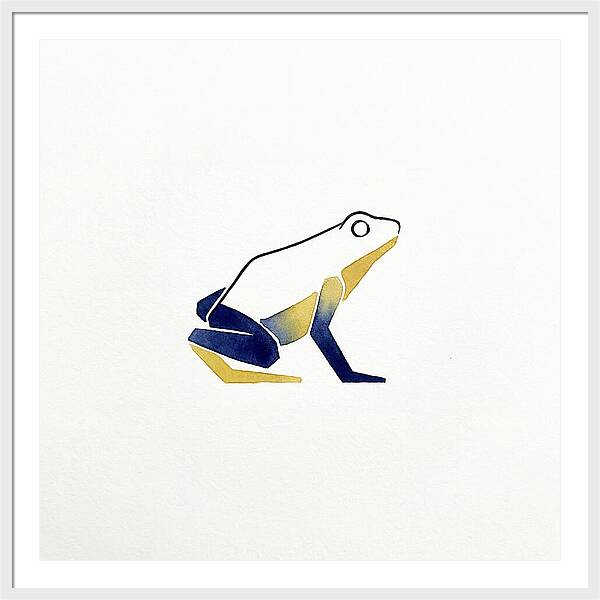 Poison Dart Frog Minimalism