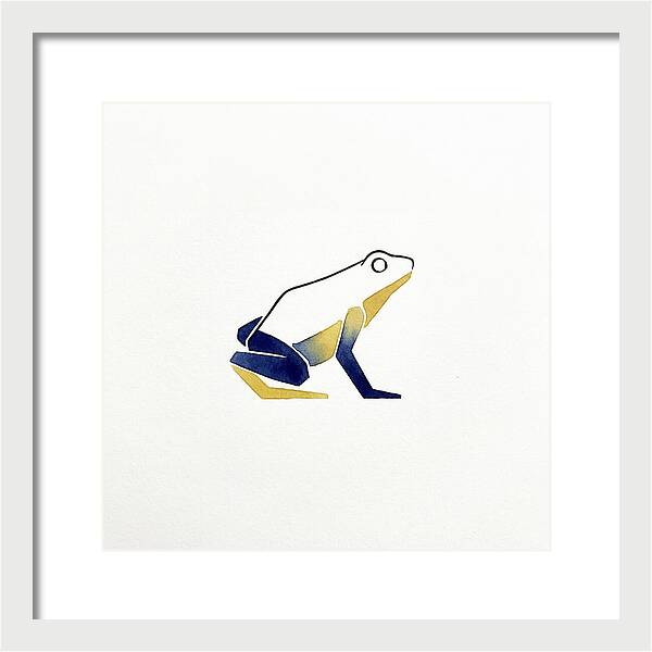 Poison Dart Frog Minimalism