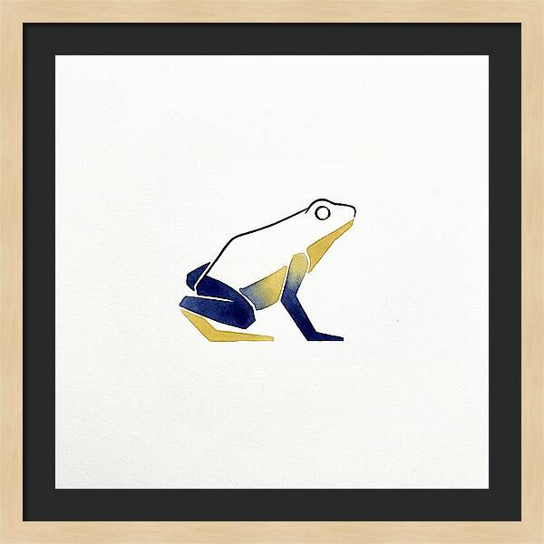 Poison Dart Frog Minimalism