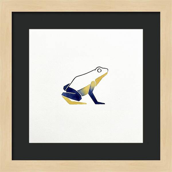 Poison Dart Frog Minimalism