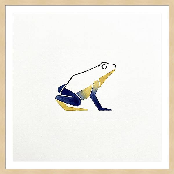 Poison Dart Frog Minimalism