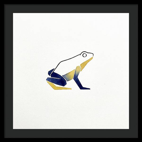 Poison Dart Frog Minimalism