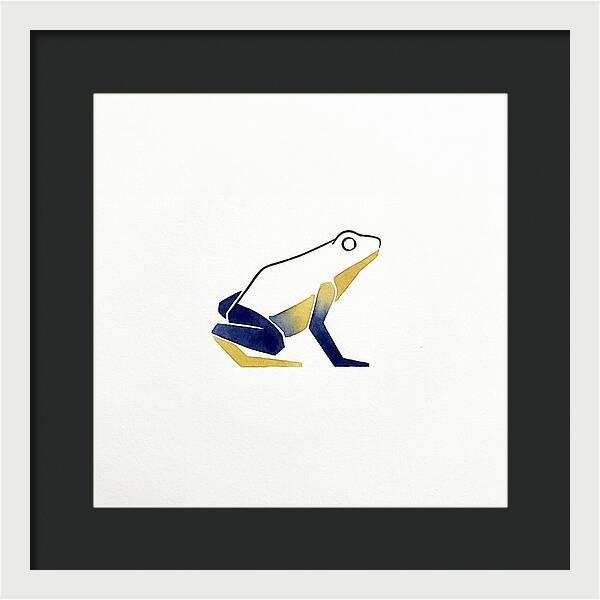 Poison Dart Frog Minimalism