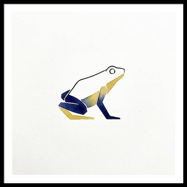 Poison Dart Frog Minimalism