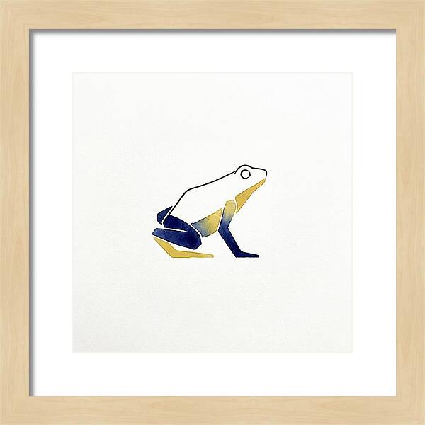Poison Dart Frog Minimalism