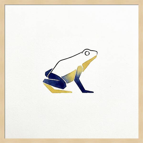 Poison Dart Frog Minimalism