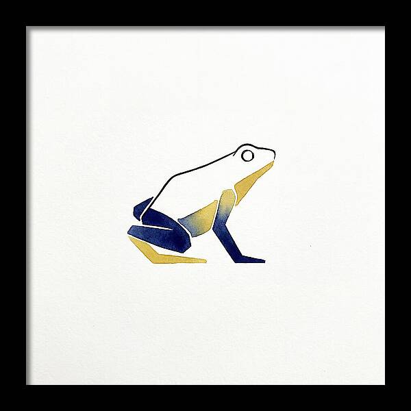 Poison Dart Frog Minimalism