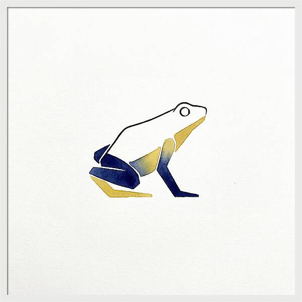 Poison Dart Frog Minimalism