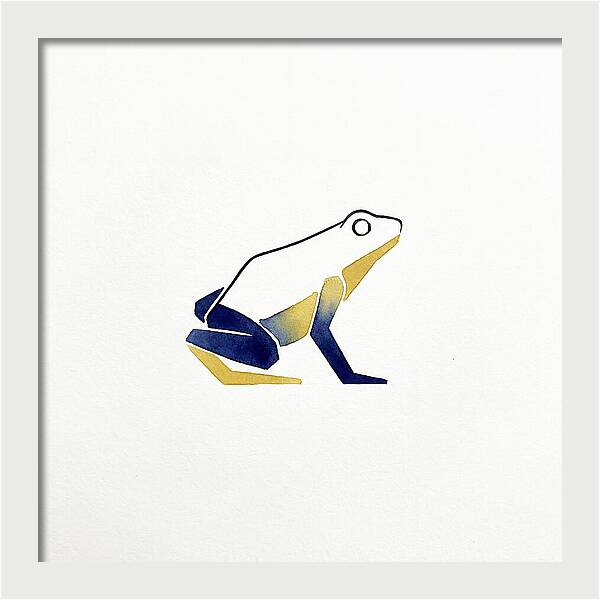 Poison Dart Frog Minimalism