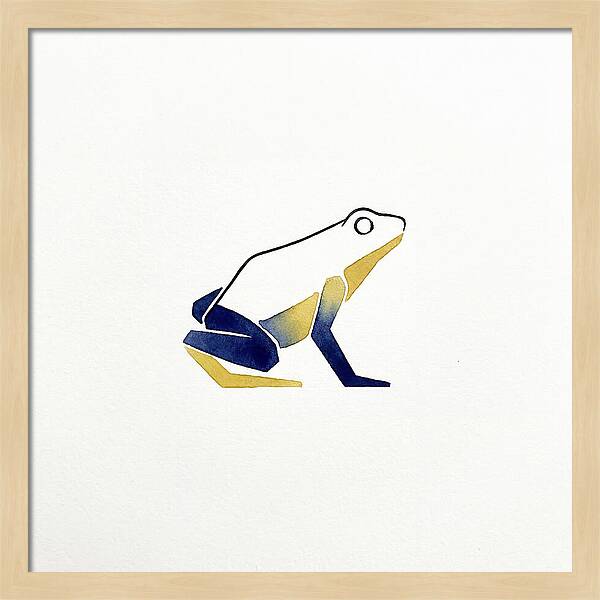 Poison Dart Frog Minimalism