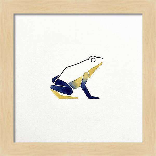 Poison Dart Frog Minimalism
